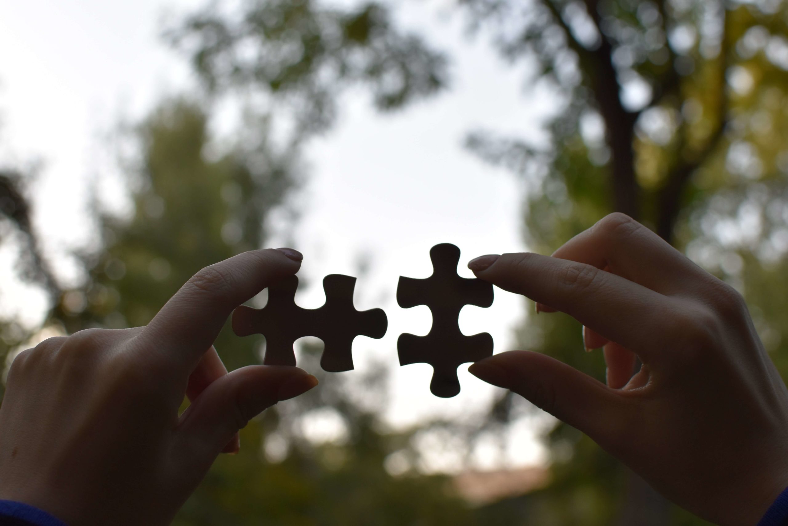 jigsaw puzzle integration partnership