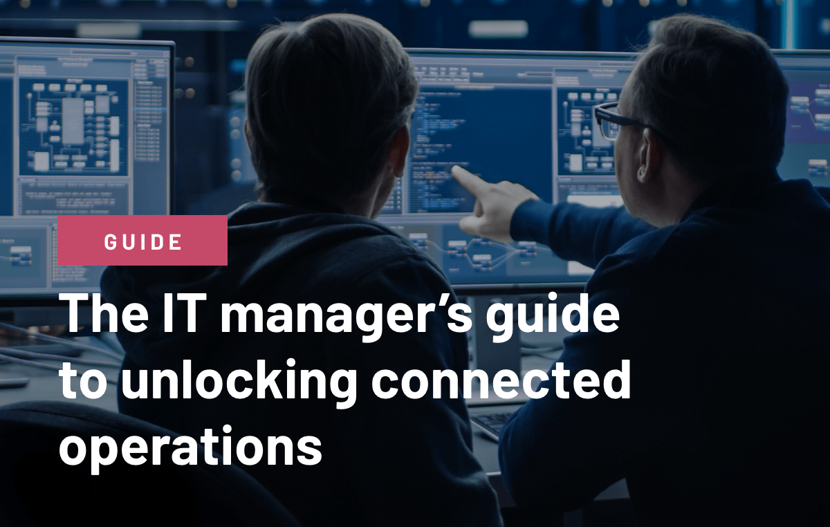 IT Managers Guide