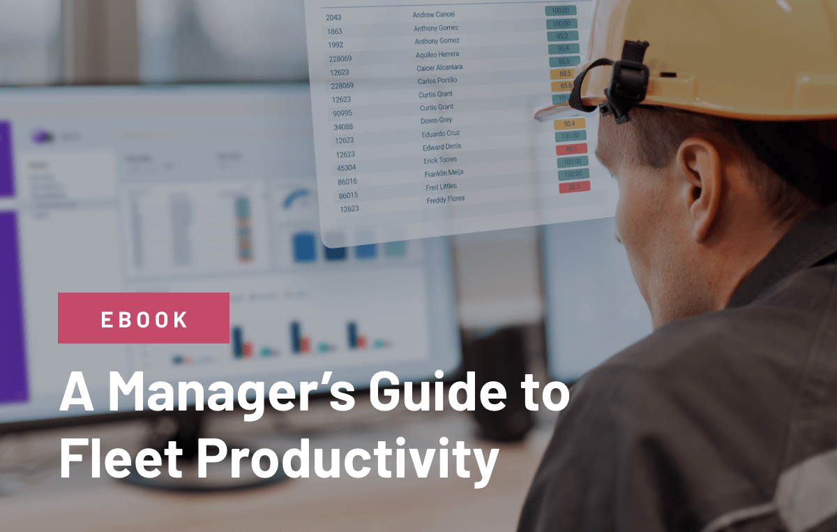 Manager's guide to fleet productivity