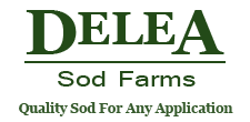 Delea sod logo color